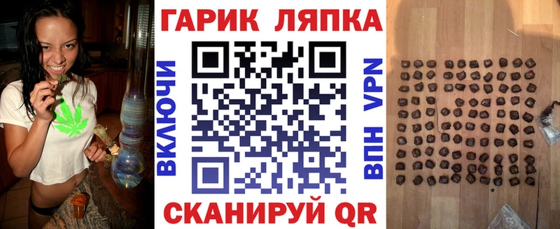 где купить   Каргат  ГАШ ice o lator 