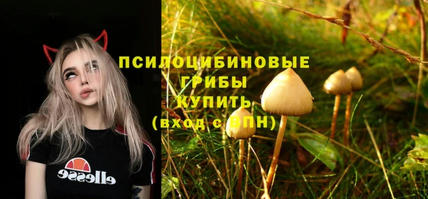 скорость Алексин
