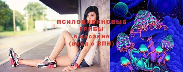 мяу мяу мука Алзамай